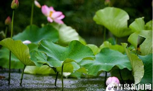 连绵细雨周末天气晴朗_连绵细雨周末天气